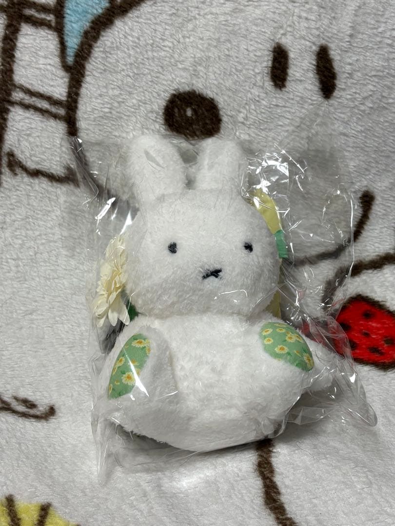 フラワーミッフィー　カモミール