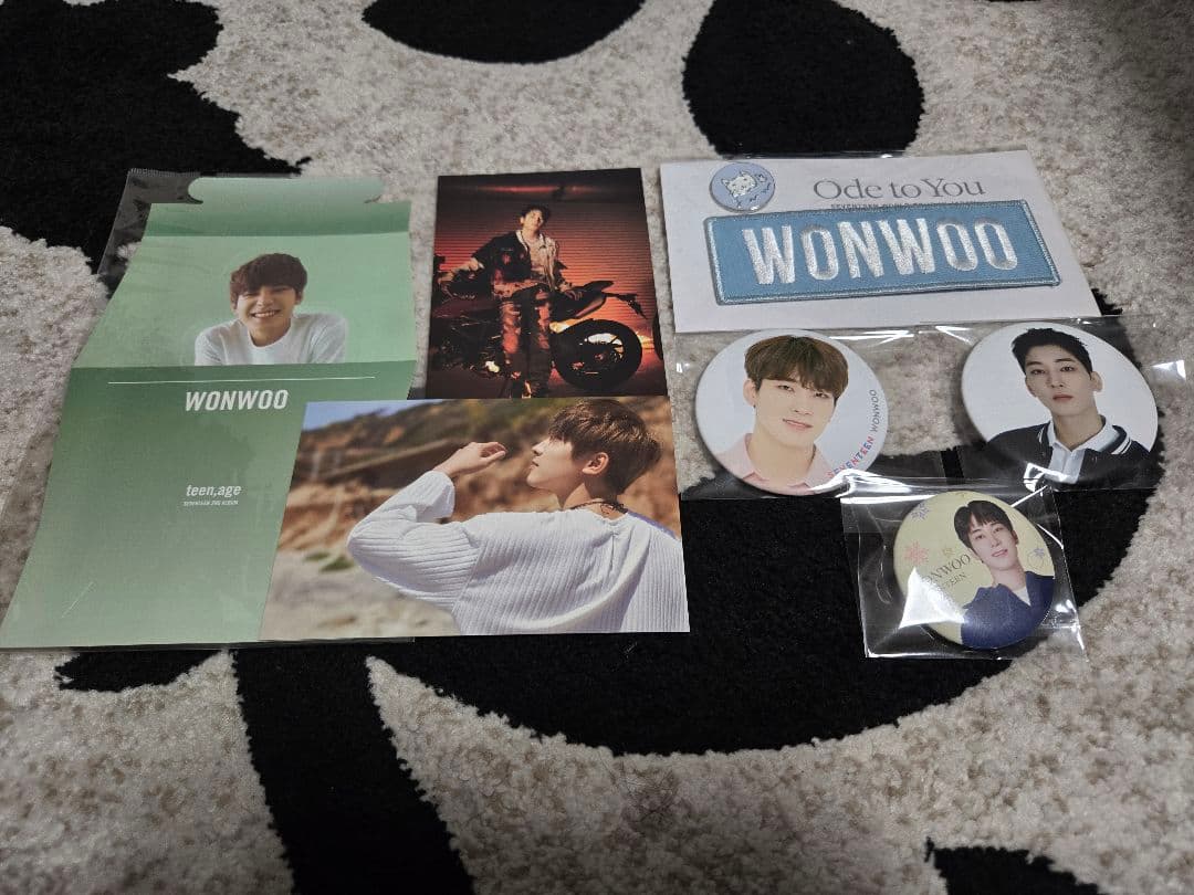 SEVENTEEN ウォヌ グッズ まとめ トレカ100枚以上 Carat盤付き