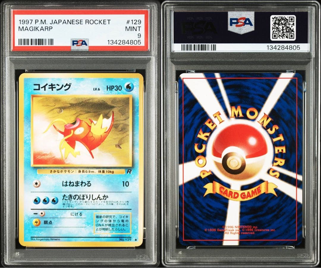 カツラのヒトカゲLV.16 ● : 旧裏 [PMCG-G2 No.004]第2弾