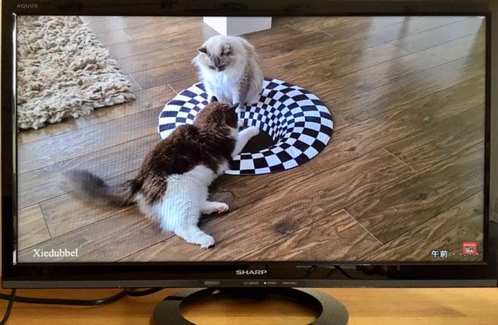 Sharp Aquos LC-22K 45B テレビ /モニター 機種別サポート情報（LC-22K45）│液晶テレビ（AQUOS）│サポート・お