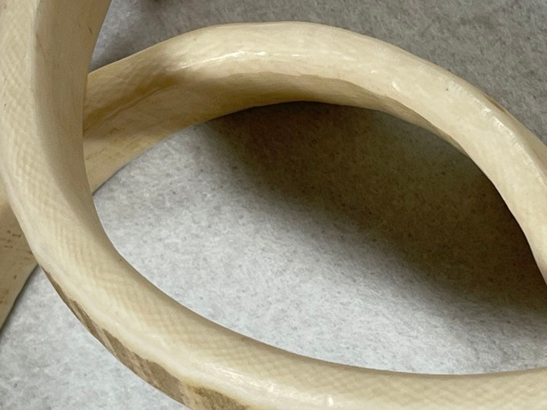 天然素材 重量約150gマンモス 白材 美術品加工素材用 道具用 中古