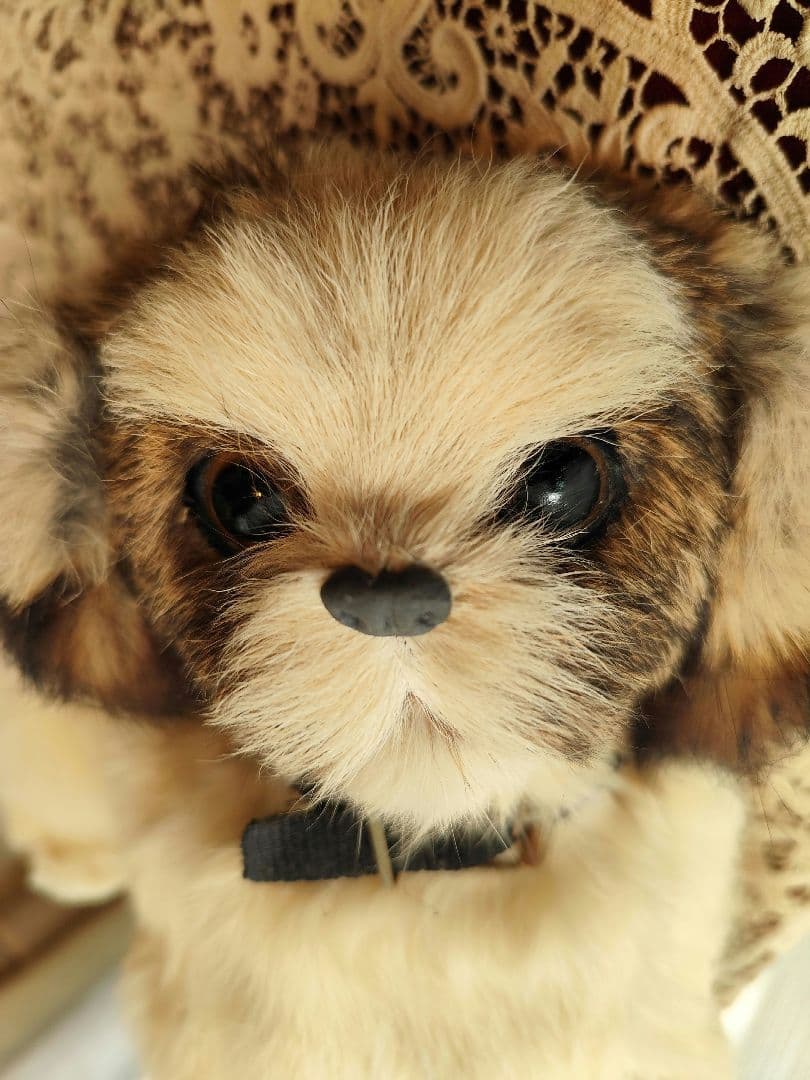 レトロ　シーズー　ぬいぐるみ　レトロぬいぐるみ