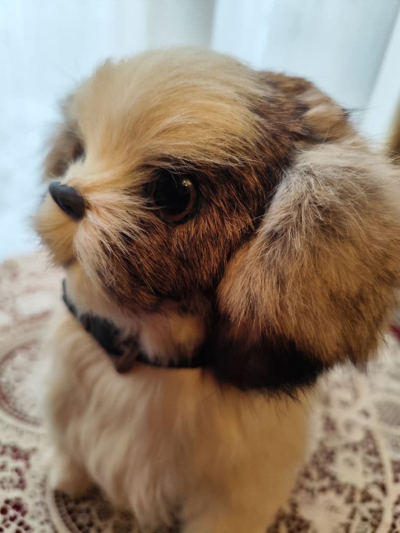 レトロ　シーズー　ぬいぐるみ　レトロぬいぐるみ