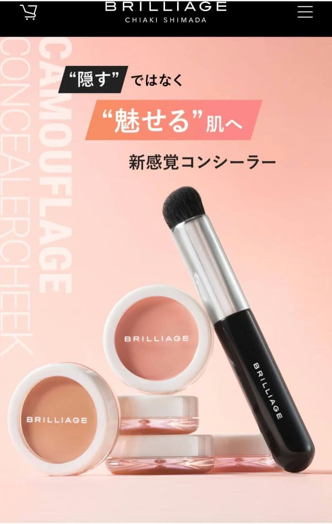 【BRILLIAGE 】カモフラージュコンシーラー2色&ワイドブラシセット BRILLIAGE（BRILLIAGE） カモフラージュ コンシーラーチーク 02 通販