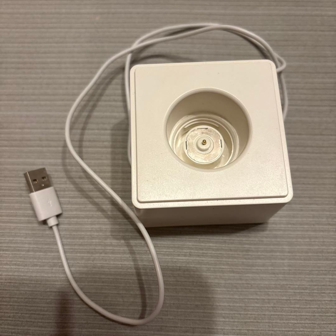 Niziuペンライト　ペンライトケース 早い者勝ち