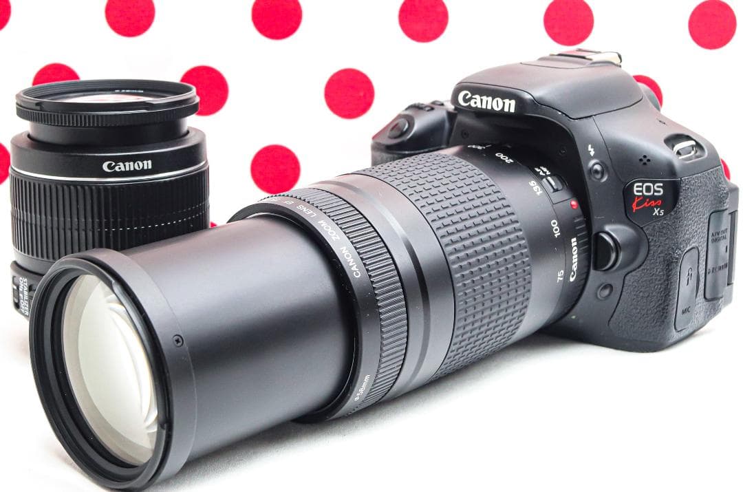 超望遠ダブルレンズ❤Canon kiss x5❤スマホ転送❤画面回転で自撮り可 超望遠ダブルレンズ❤Canon kiss x5❤スマホ転送❤あらゆるシーンに
