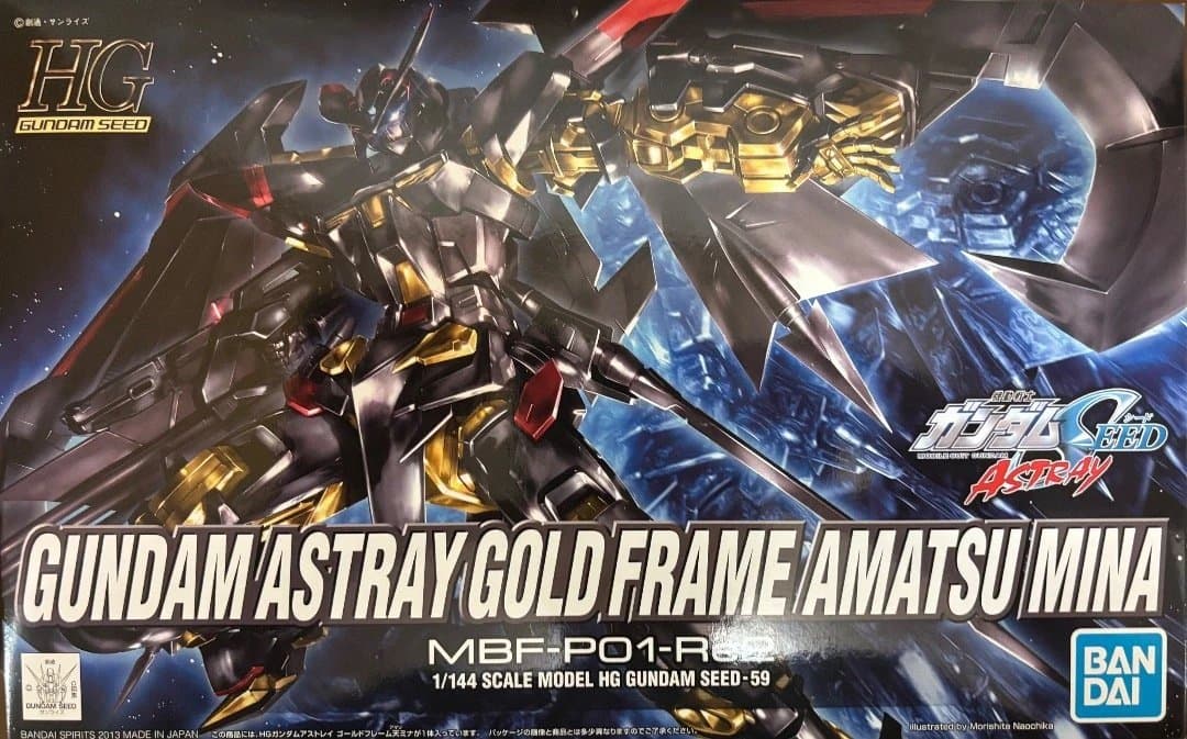 ガンプラ HG RG アストレイ 8点セット レッドドラゴン ロードアストレイ他