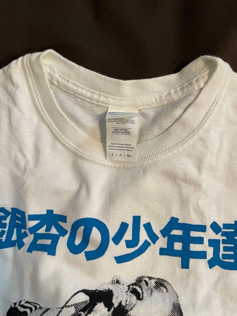 “銀杏の少年達”銀杏BOYZ 2枚セット