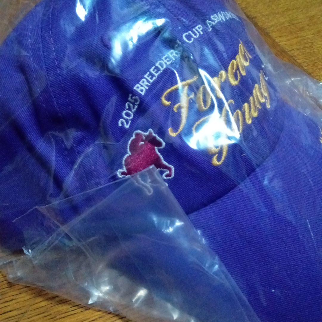 競馬 JRA フォーエバーヤング オリジナルキャップ - メルカリ