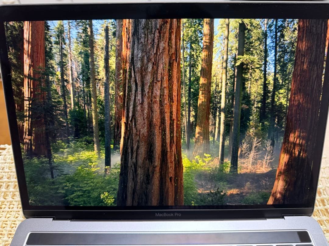 MacBook Pro 2019 13インチ 1.4GHz i5