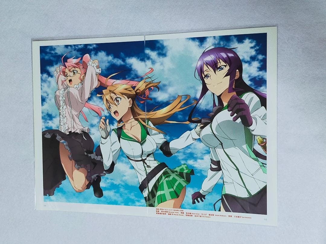 ハイスクールオブザデッド　額装飾　学園黙示録　漫画本＞カード＞ポスター＞その他