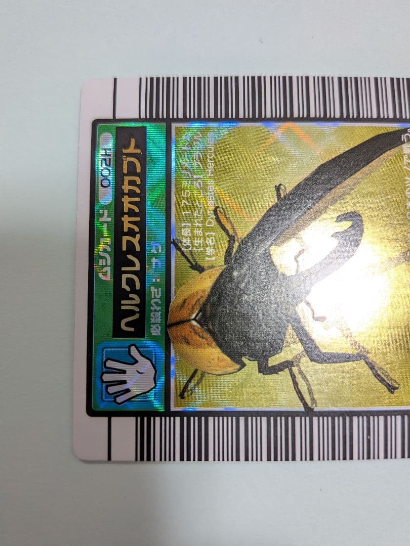 スパス様確認用