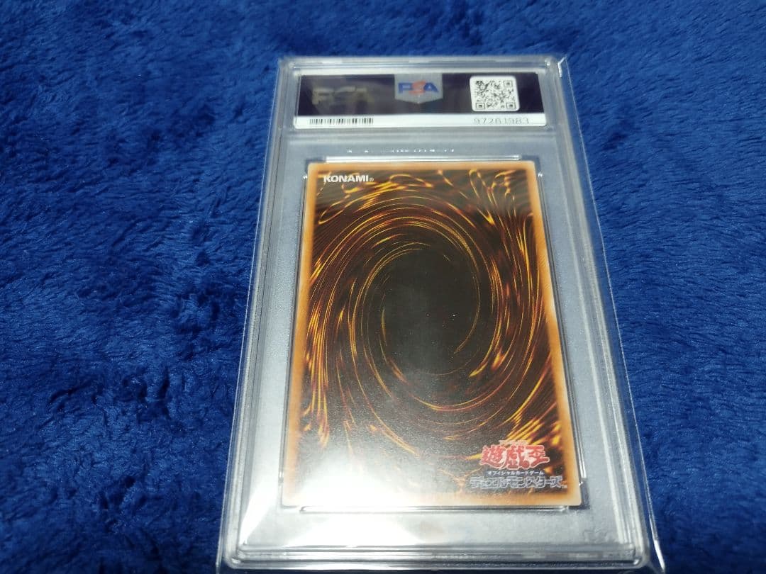 カオスエンペラードラゴン　psa