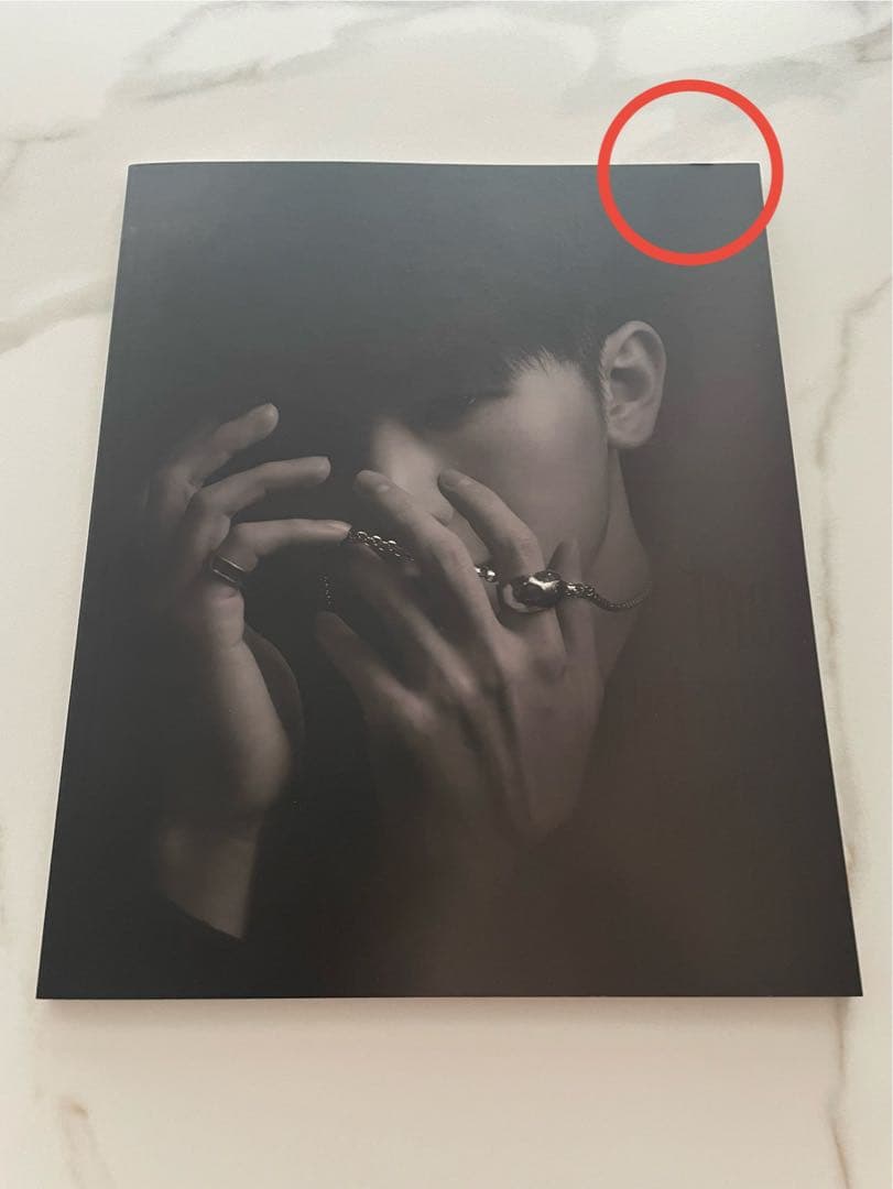 The Thirteen Tapes vol.2/13 WOOZI（ポスター付）