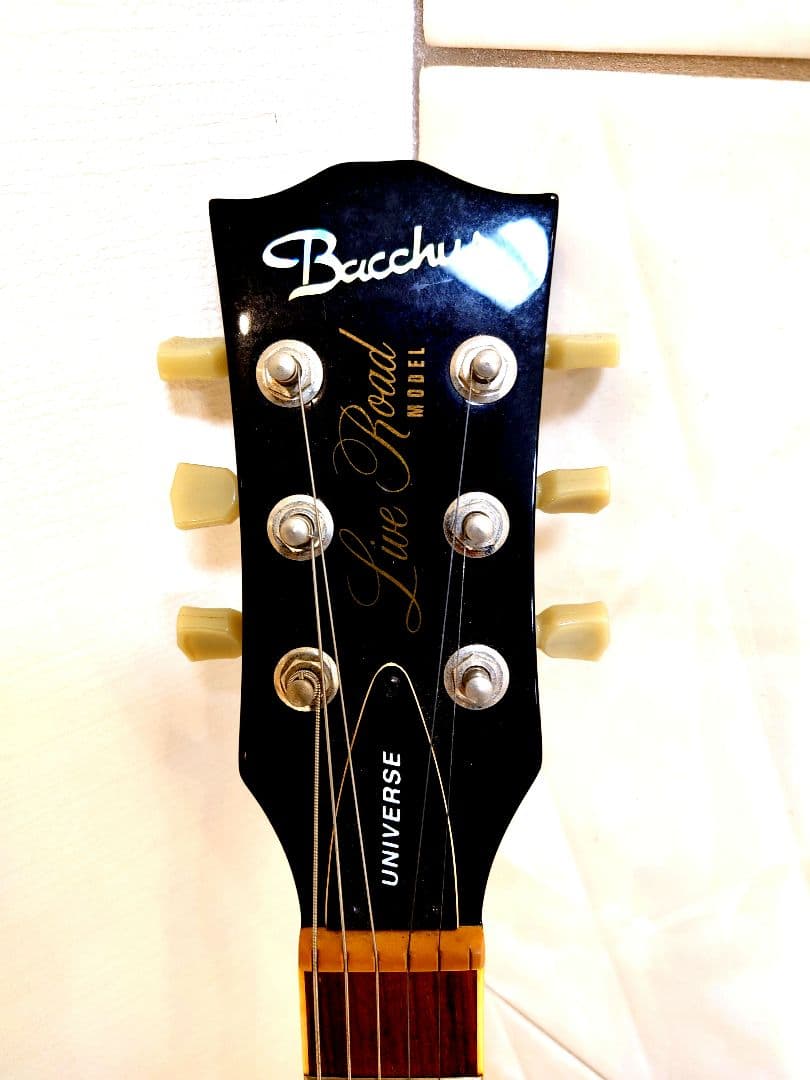 Bacchus バッカス レスポール ギター(ソフトケース付)