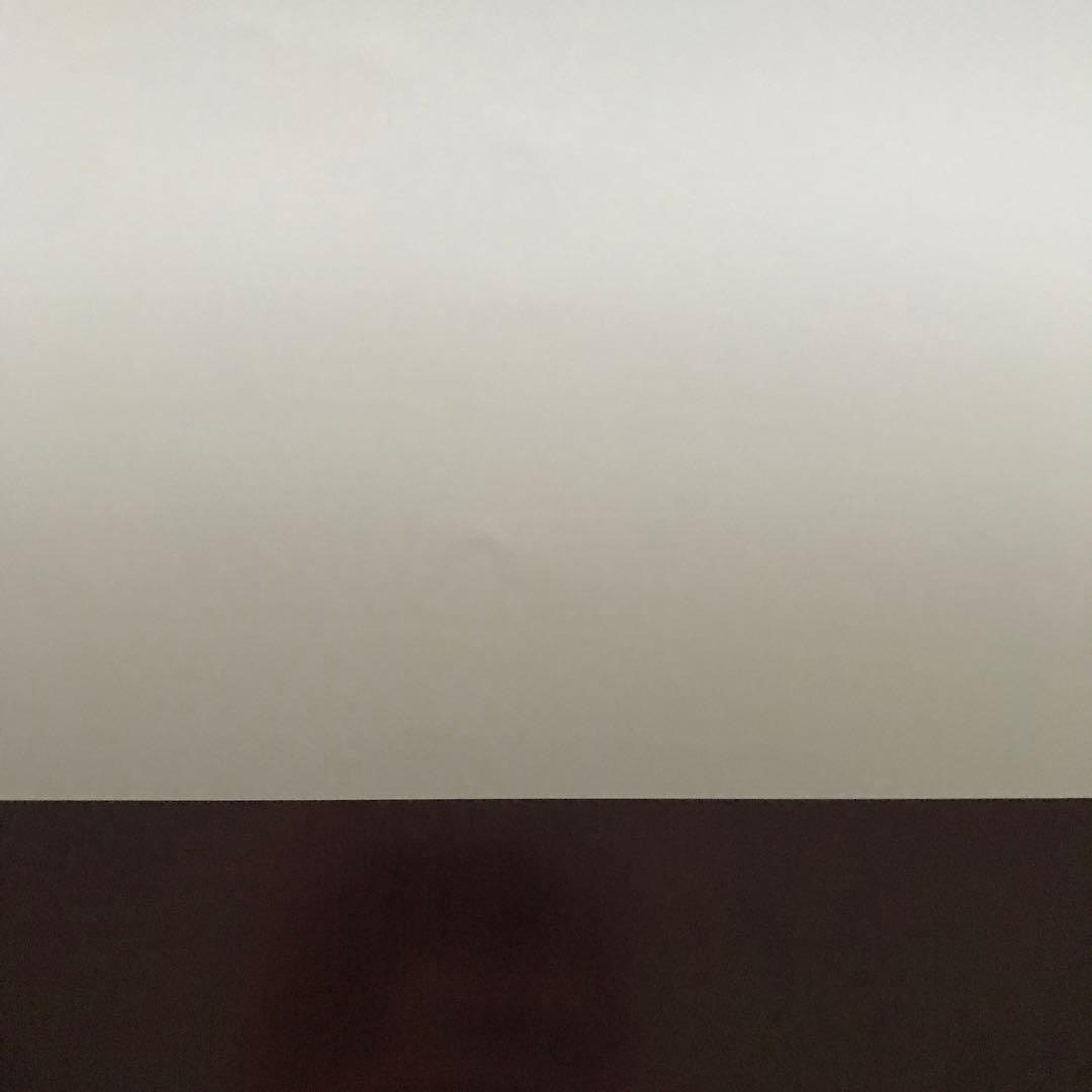 DOMOTO 堂本剛 堂本光一 愛のかたまり B2 ポスター