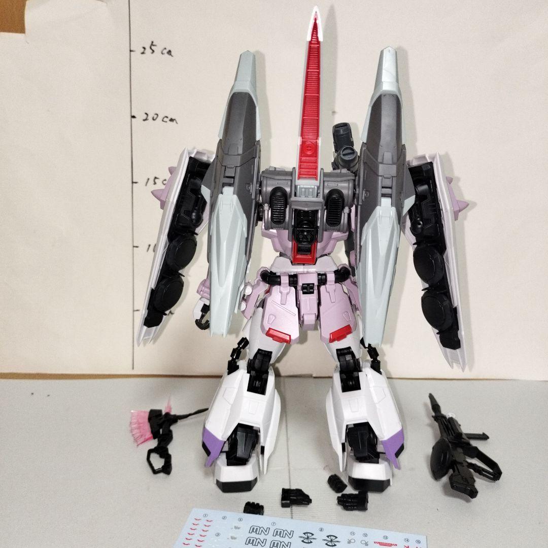 プレバン限定 MG1/100 レイ・ザ・バレル専用 ブレイズザクファントム