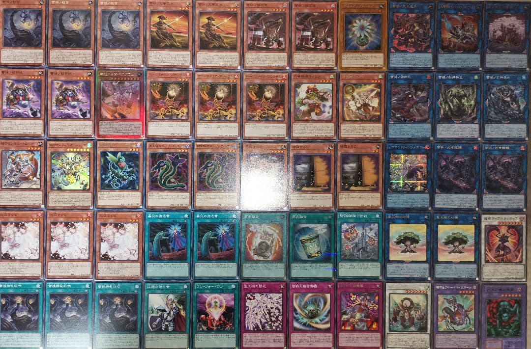 遊戯王デッキ　蕾禍デッキ　ガチ構築