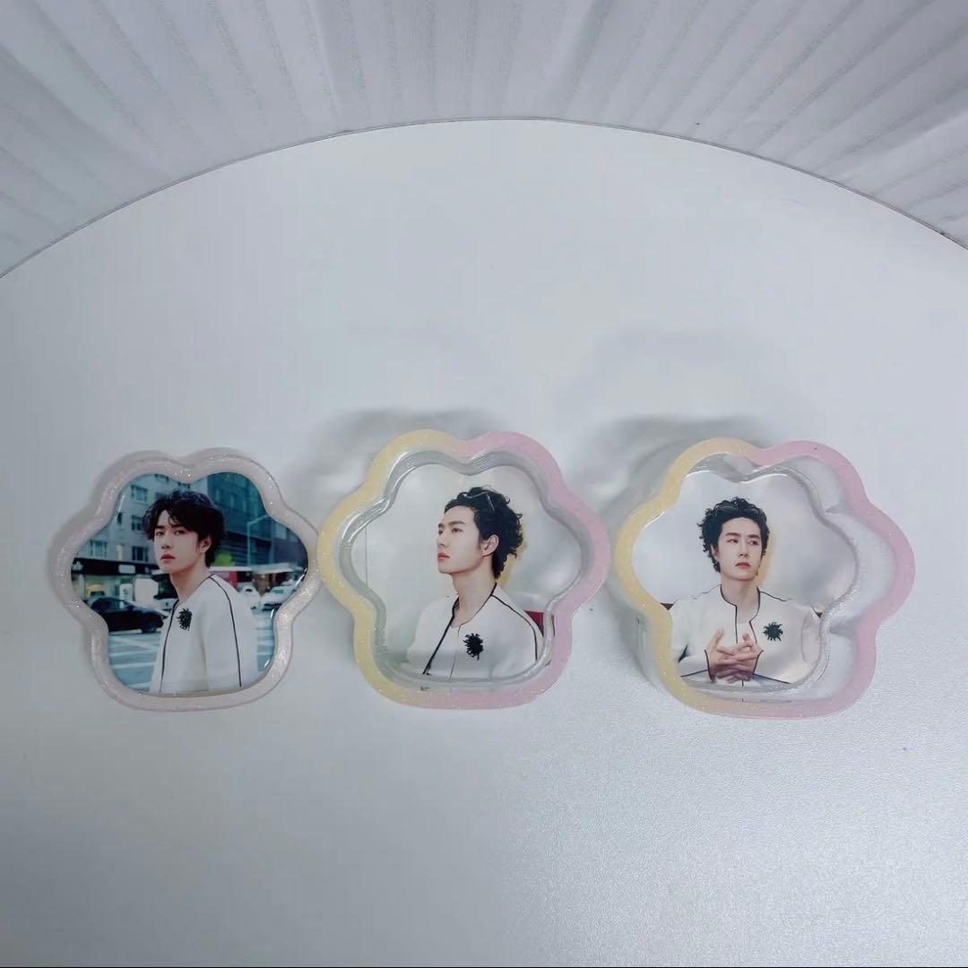 王一博 二層構造の猫の肉球レジン収納ボックス❣️6セット❣️確認用❣️0106