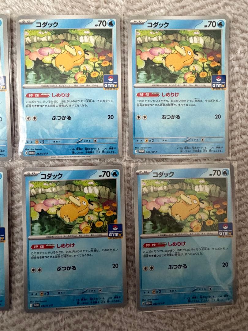 コダック ジムプロモ しめりけコダック コダック【プロモ】262/SV-P