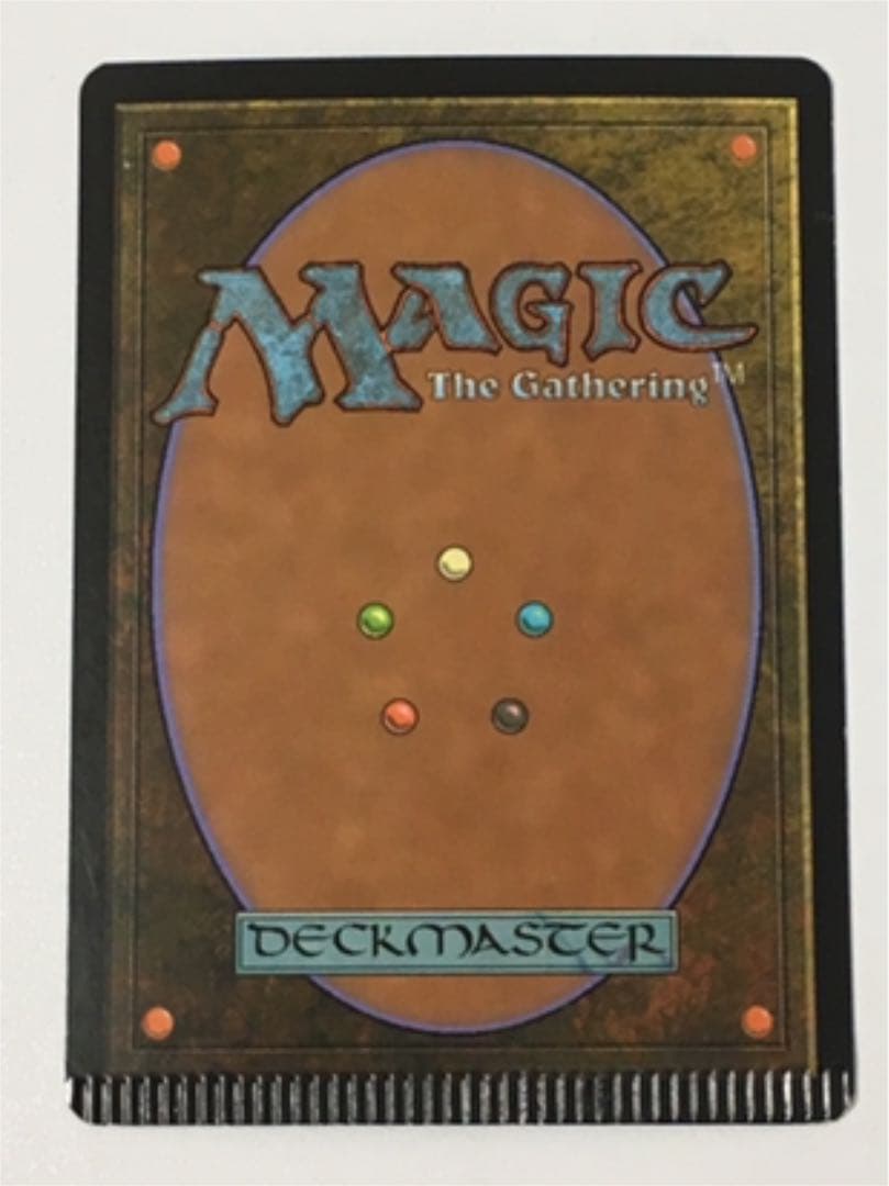 MTG 日本語  レオニンの空狩人 エラーカード