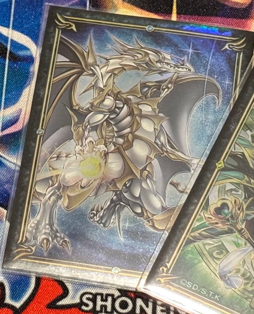 誇りと魂の龍　25thシク　まとめ　スリーブ付