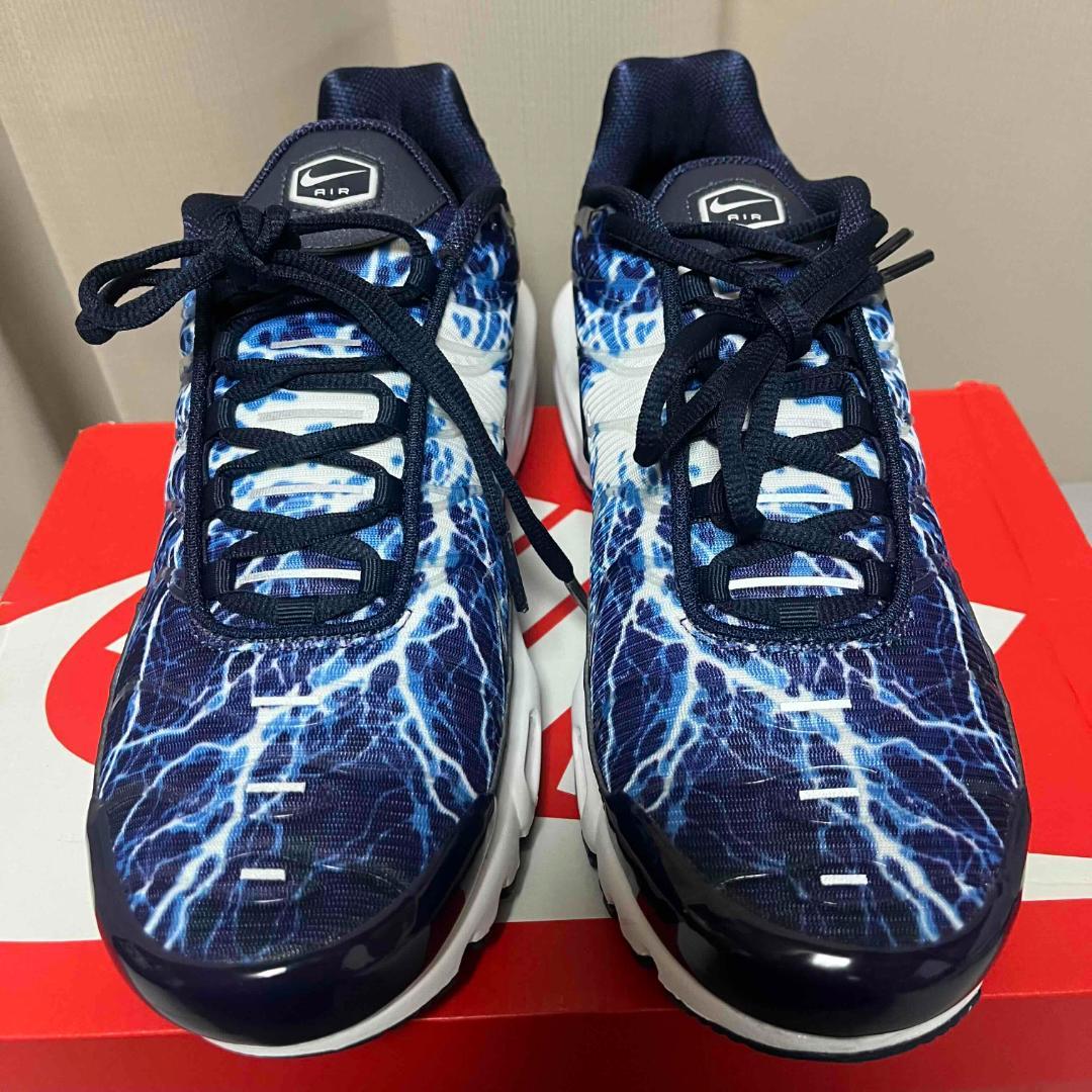 NIKE AIR MAX PLUS 28.0cm HV2323-400 マップラ