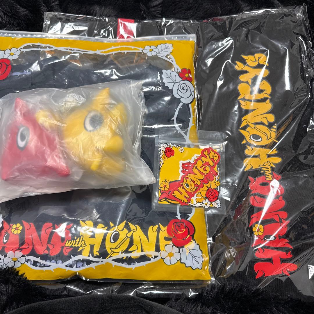 HANA ファンミグッズセット HANAのファンミグッズ、私はこれでいく。6000円！ タオルは写真撮影