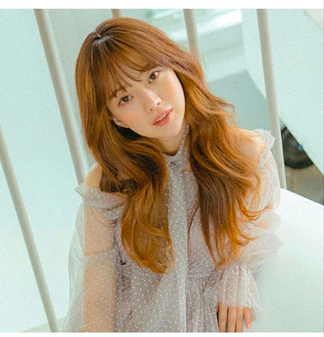 完売品 PINK AGE トップカバー ウィッグ ピンクエイジ チョコブラウン