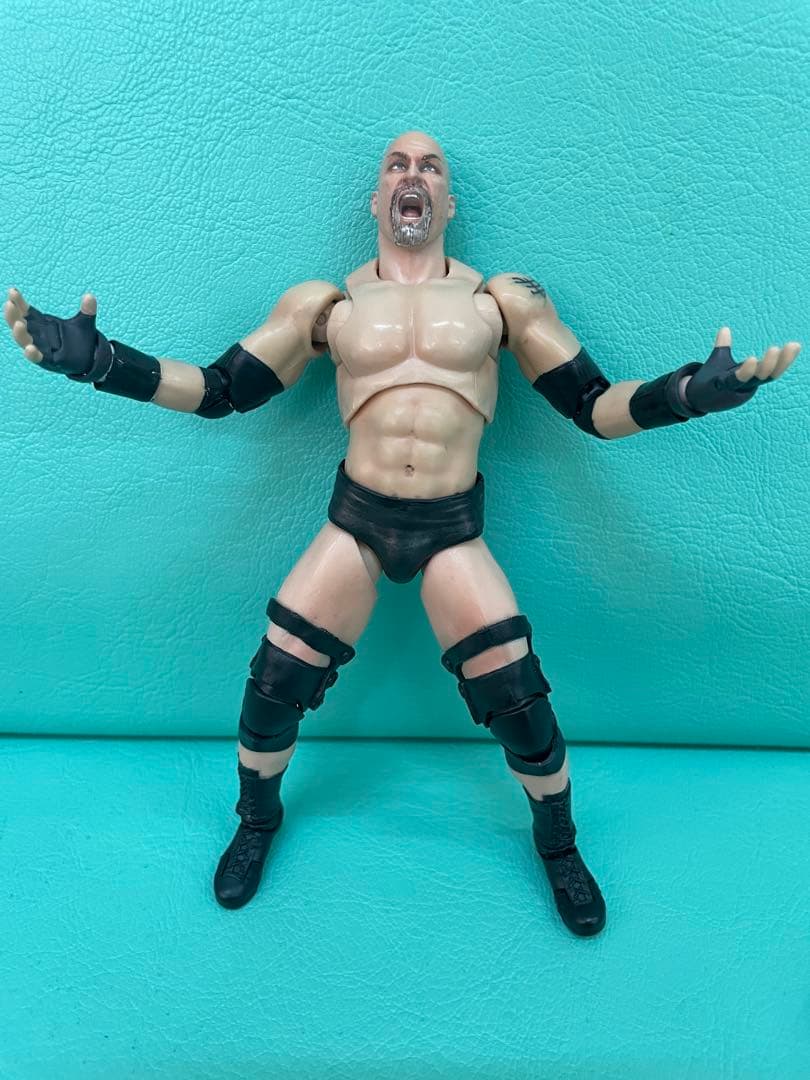 S.H.フィギュアーツ　ビル・ゴールドバーグ　カスタムフィギュア