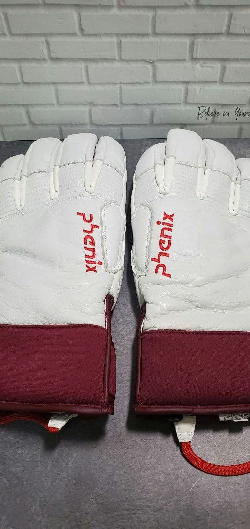 PHENIX フェニックス スキーグローブ フェニックス(Phenix) スキーグローブ Bicolor Gloves バイカラー