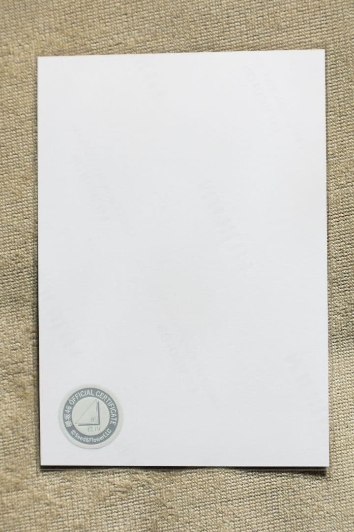 最終値下げ 櫻坂46 武元唯衣 2025年サンタ衣装 直筆サイン入 生写真