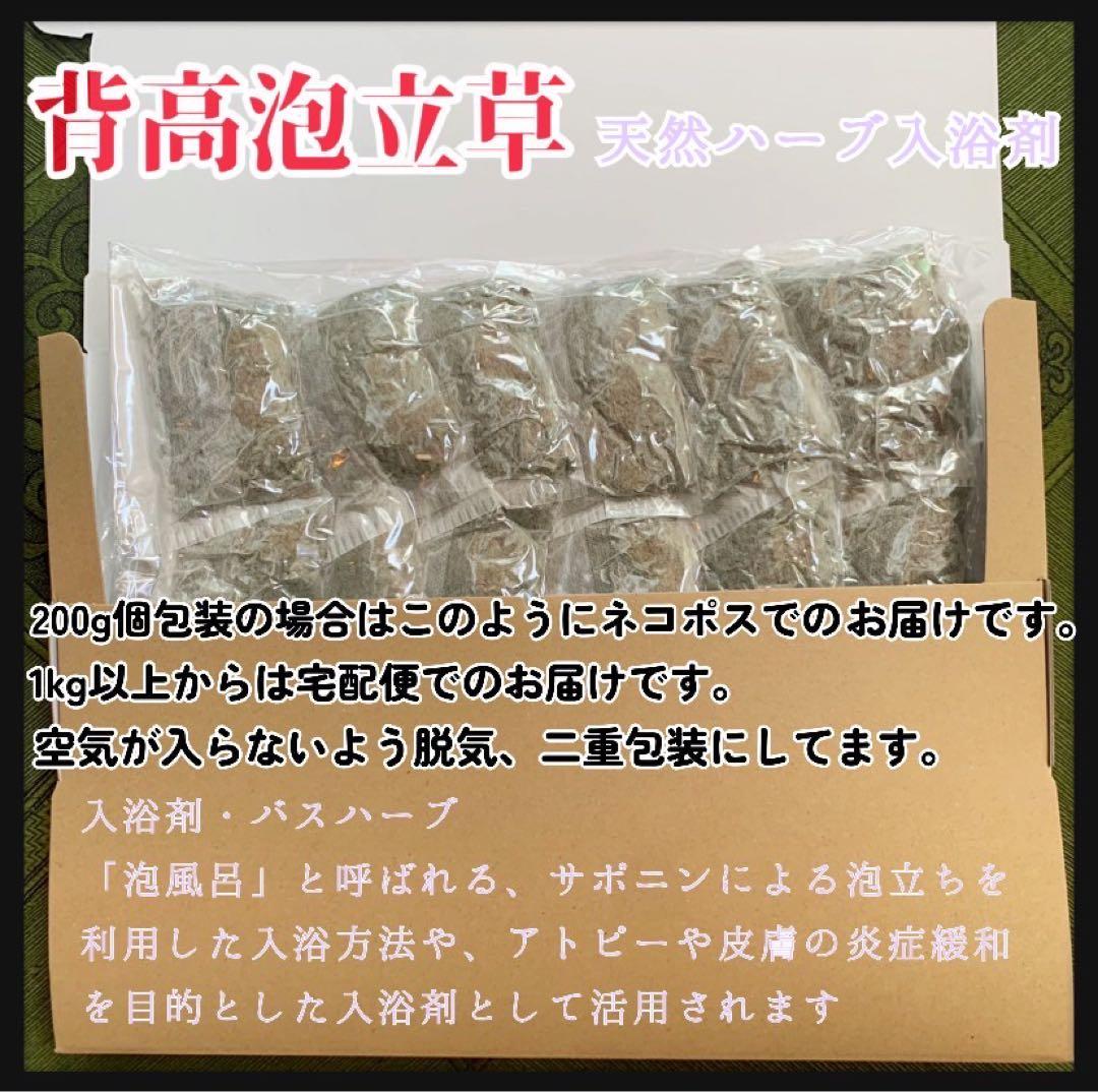 天然ハーブ】背高泡立草 セイタカアワダチソウ1kg 個包装80個前後 良質