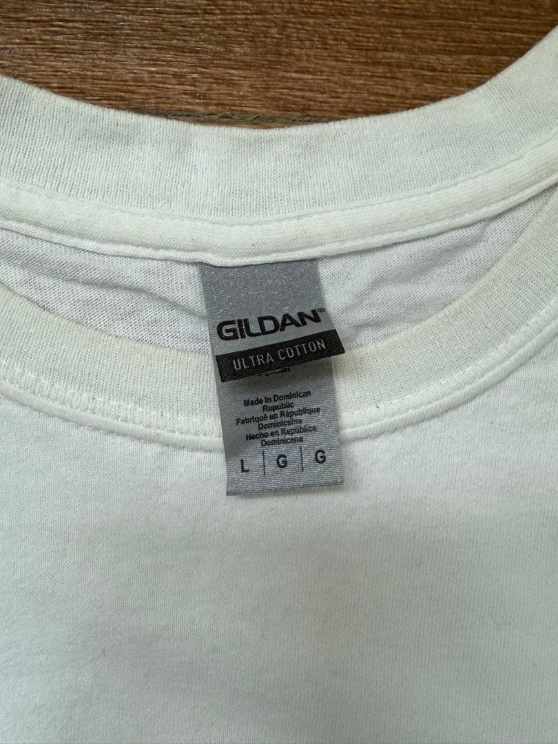 DWS JAPAN （色流シ）希少Tシャツ2枚セット