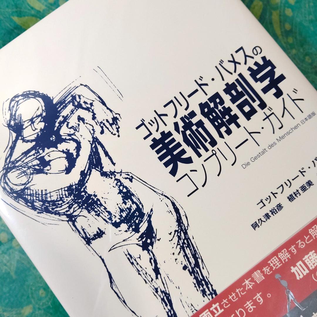 ゴットフリード・バメスの美術解剖学 - メルカリ