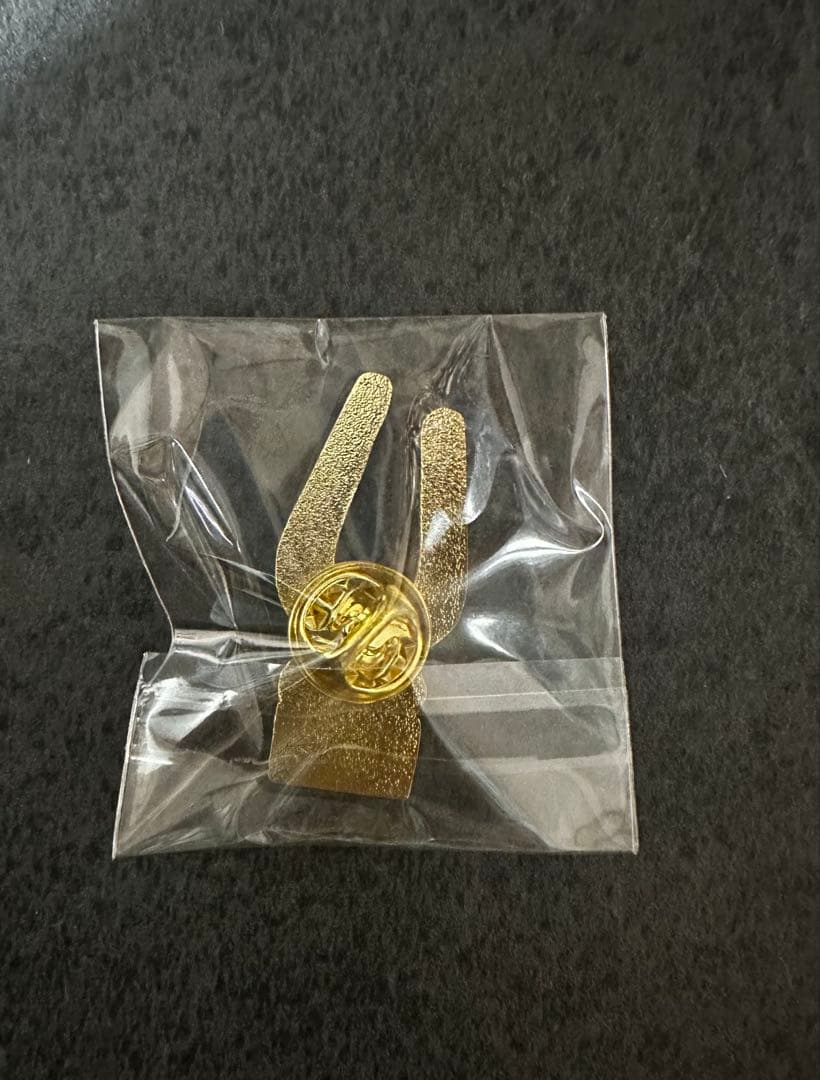 万博　ドミニカ　パビリオン　ピンバッチ