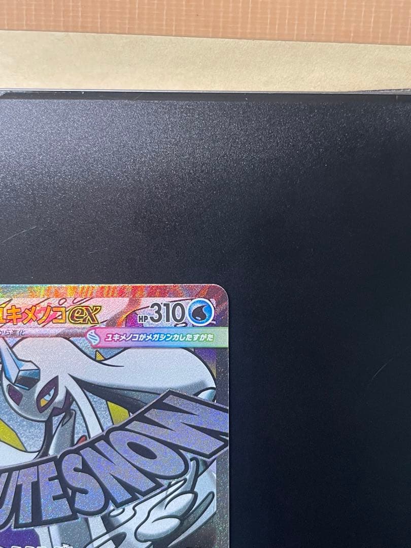 中国語箔押しエラー ［M2a 232/193］メガユキメノコex