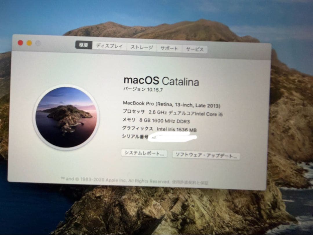 MacBook Pro 2013 マックブックプロ A1502 シルバーの通販｜www