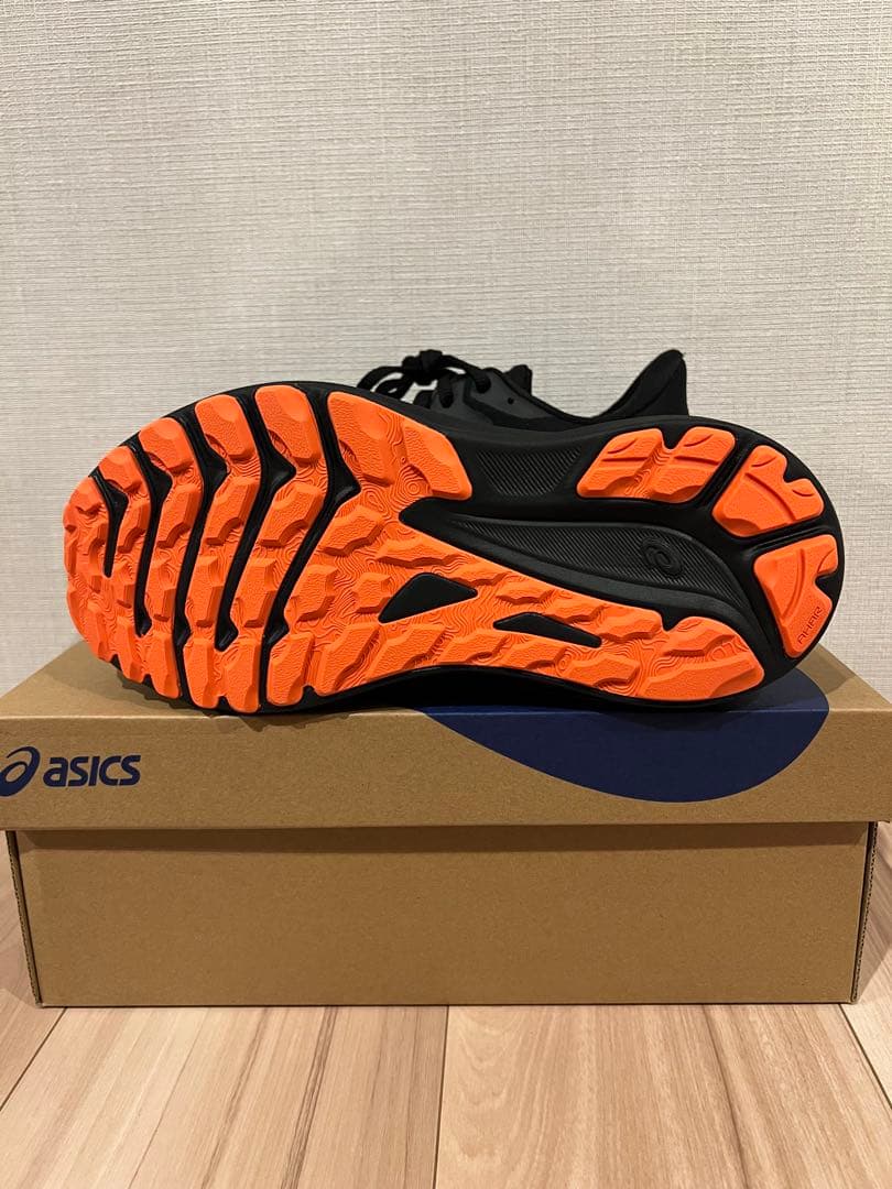 アシックス　GT-1000 13 GTX GORE-TEX 25.0cm