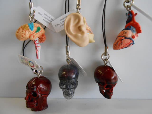 ♯Kui17Jtサイエンステクニカラー人体模型ストラップ1全12種