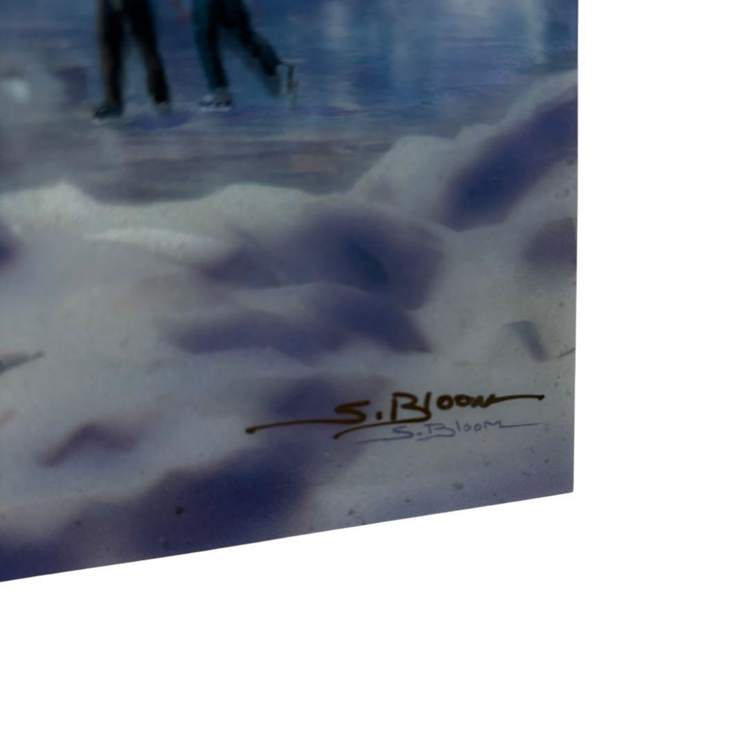 S.Bloom　蛍光灯内蔵　アート ブラックライト　オーロラ 雪景色 幻想的