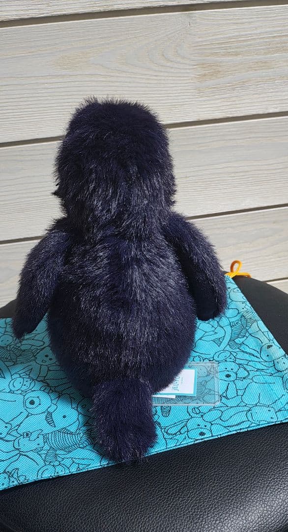 新品　jelly cat hocus crow 　カラス