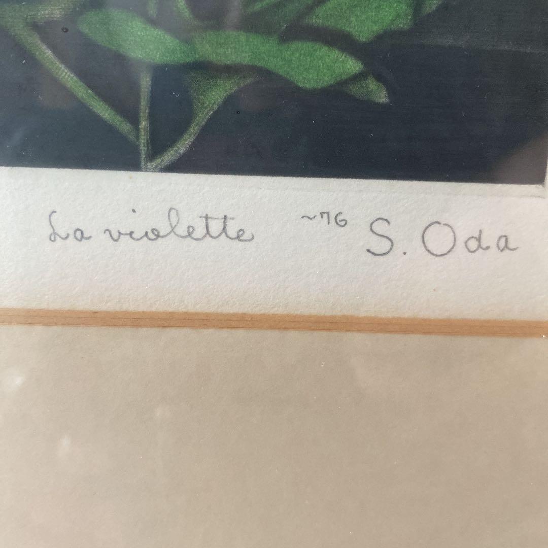 織田 繁 題名 アフリカン ヴァイオレット メゾチント 銅版画