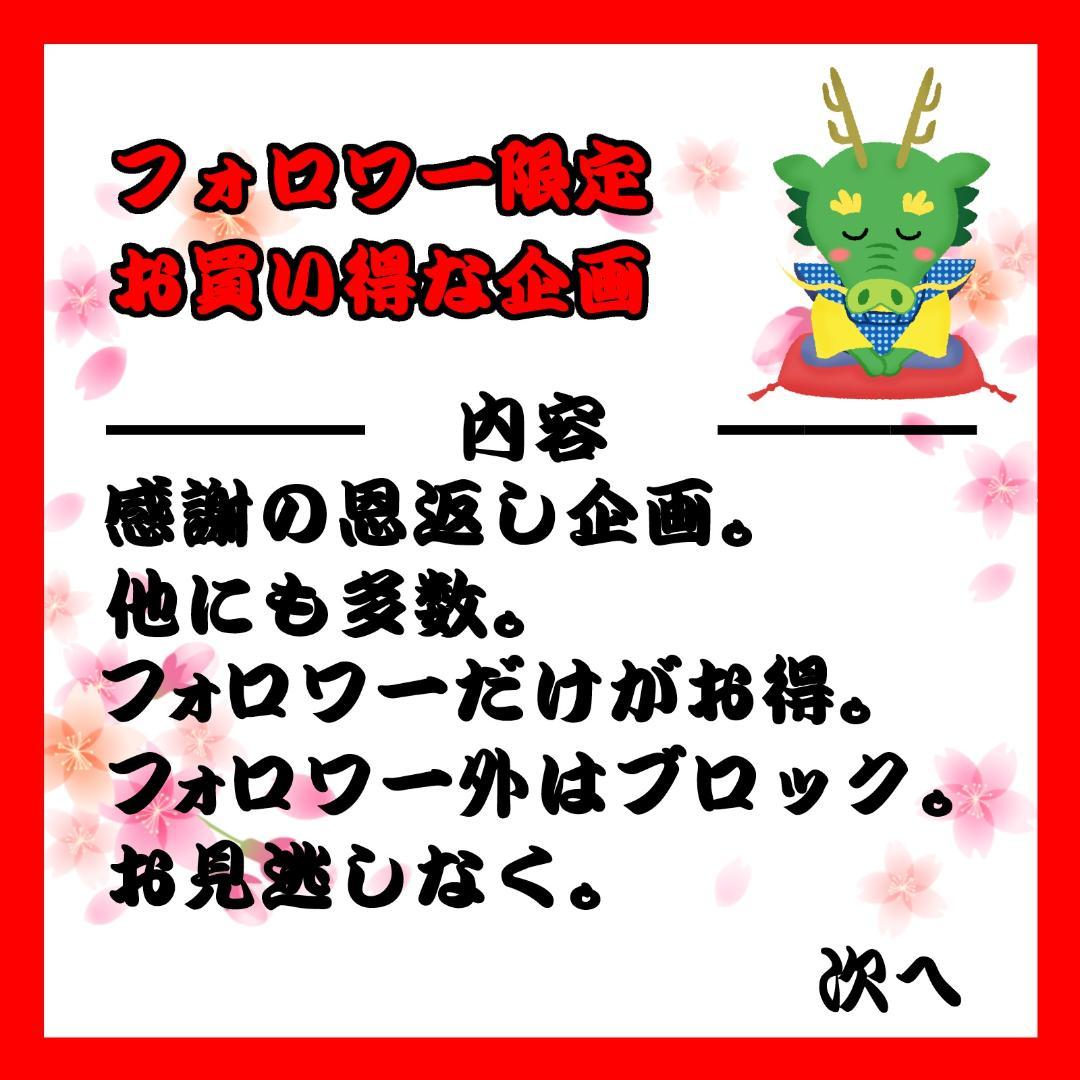 フォロワー限定300円企画】遊戯王 OCG カード 2枚セット 青眼の白龍