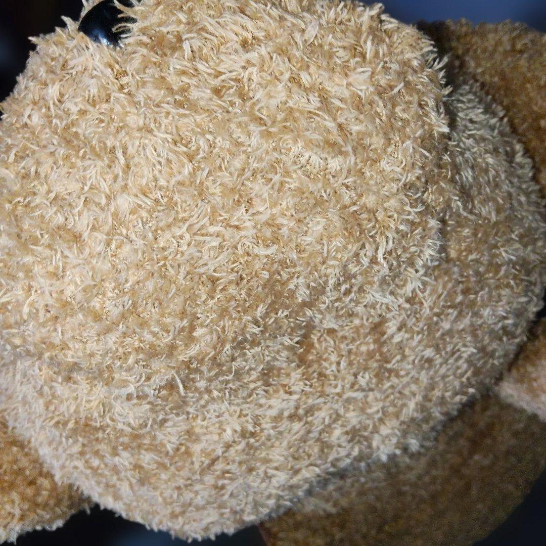 安立屋限定 いぬくじ特等 スタンダードプードル トイプードル 浅草