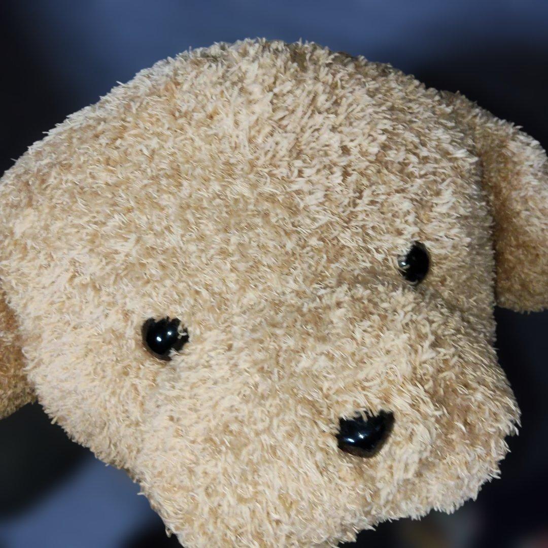 安立屋限定 いぬくじ特等 スタンダードプードル トイプードル 浅草