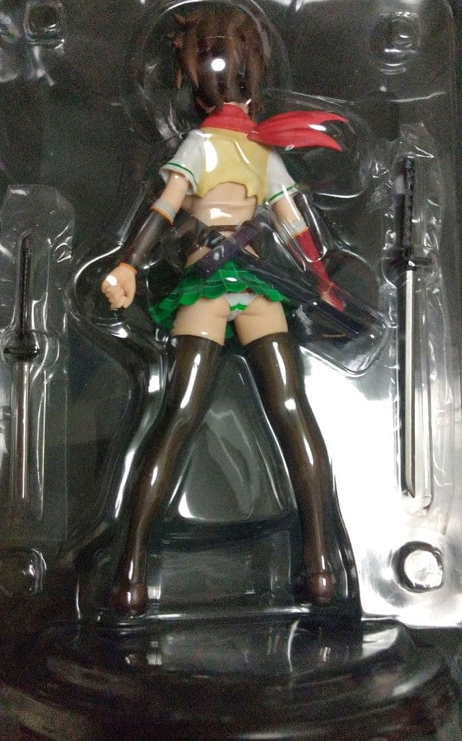 閃乱カグラ 飛鳥 ダメージver. アールライン 1/7