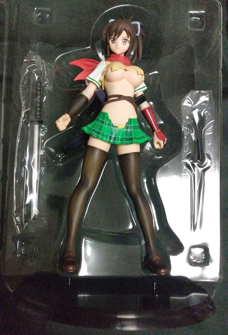 閃乱カグラ 飛鳥 ダメージver. アールライン 1/7