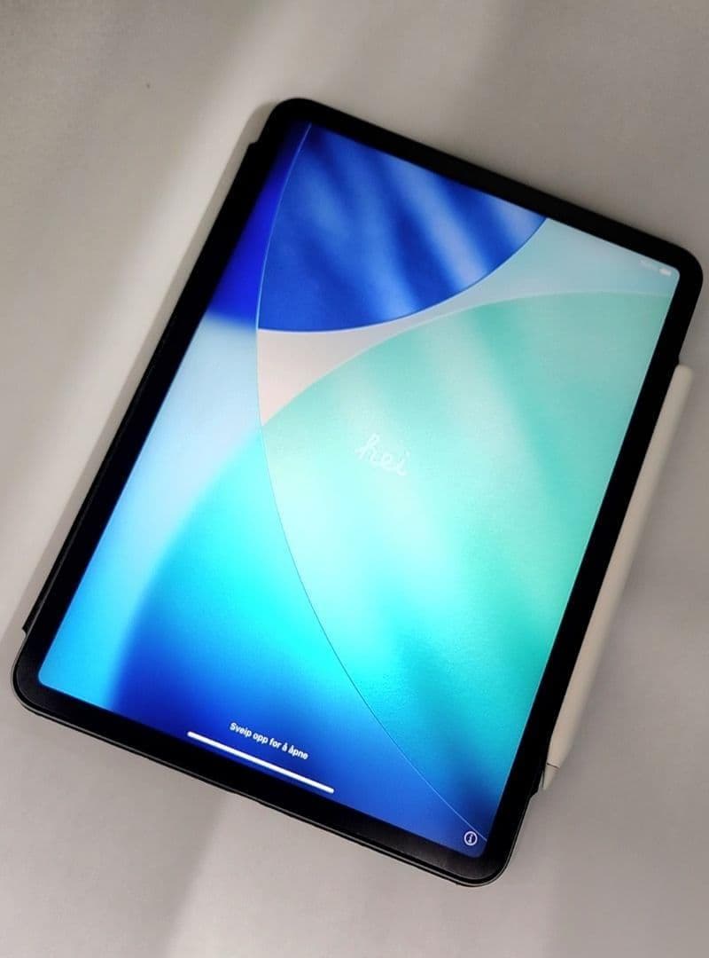 iPad Pro 11インチ 256GB＋Apple Pencil 第2世代 - メルカリ