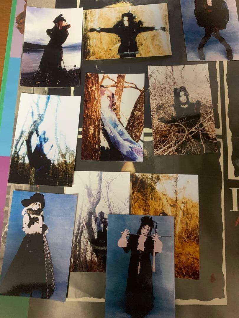 noir fleurir 生写真 32枚セット